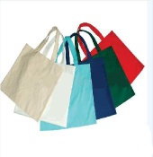 shopping bag 2009