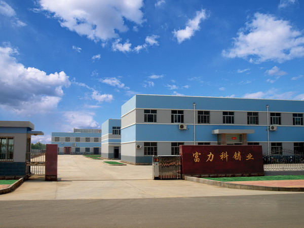 Dongying Fulike Metal Casting Co.,Ltd