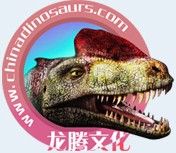 Zigong City Dragon Culture&Arts Co.,Ltd