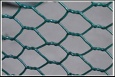 Hexagonal Wire Mesh