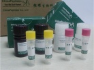 Apelin Peptides