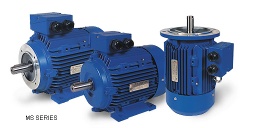 A.C. three phase electric motor