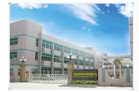 Xingtai Shengbang Imp & Exp Co., Ltd.