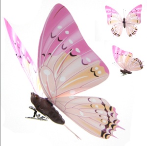 Wedding Decorative Butterfly