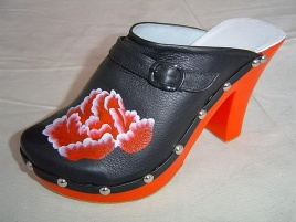 painted clogs
