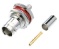 BNC Connector