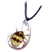 real insect amber pendants fashion jewelry