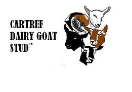 Cartref goat indutries