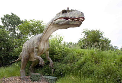 amusement park equipment