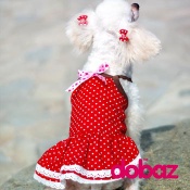 Pet clothes