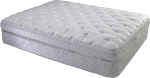 lastic coil mattress--Freedom Dreamons