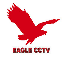 Taiwan Eagle CCTV Ltd.