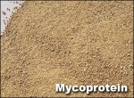 mycoprotein