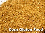 corn gluten feed