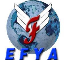 Efya international import. &. Export trade. Co. Ltd