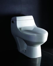 ONE-PIECE SIPHONIC WATER CLOSET TOILET