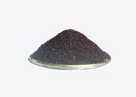 sea weed extract powder