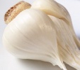 garlic extracts