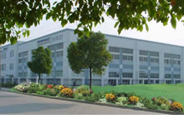 Ningbo Sister Import& Export Co.,Ltd.