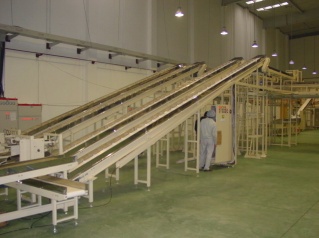 conveyor belt