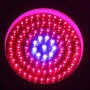 LED Grow Light