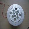 LED Ceiling Light