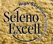 SelenoExcell High Selenium Supplement