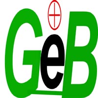 General Electronics Battery Co., Ltd.