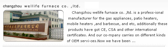 Changzhou wellife furnace co., ltd