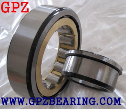 cylindrical roller bearingNUP1005 NUP1006 NUP1007 NUP1008 NUP1009 NUP1010 NUP1011 NUP1012 NUP1013 NUP1014 NUP101