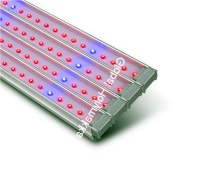 330w led spyder grow lamp for vertical farming