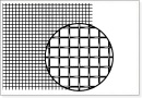 Square Opening Wire Mesh