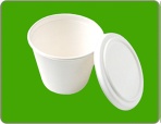 Disposable bagasse bowl with lid