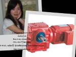 HS Series Helical-Worm Geared Reducer 