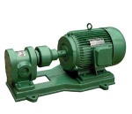 2CY Gear Oil Pump