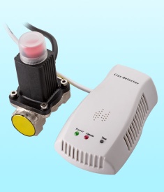 Gas detector with Shut -off valve