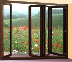 Aluminum windows
