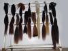 Horse Tail hair