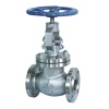 ANSI globe valve