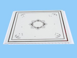 PVC Ceiling