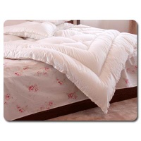 duvet pillow mattress blanket