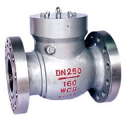 check valve