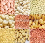 peanut,canned fruirs,canned vegetables,dried fruits,spice