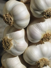 Since we export finest varieties of Egypt Garlic, we are counted amongst most reliable Egypt garlic exporters