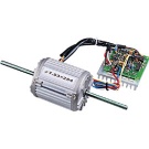 DC Brushless Motor