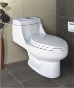 Comfortable Toilet