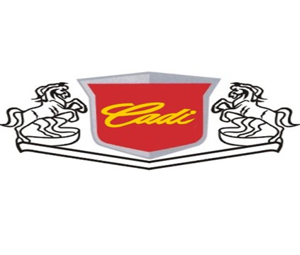 Kaidi International ( Group) Co., Ltd