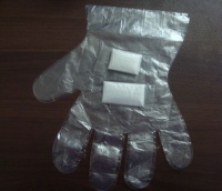 Disposable PE Gloves (Pack 1 pair/bag)