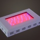 LED panel grow light