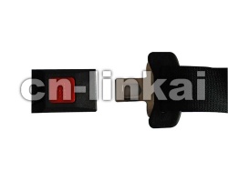 Seat Belt